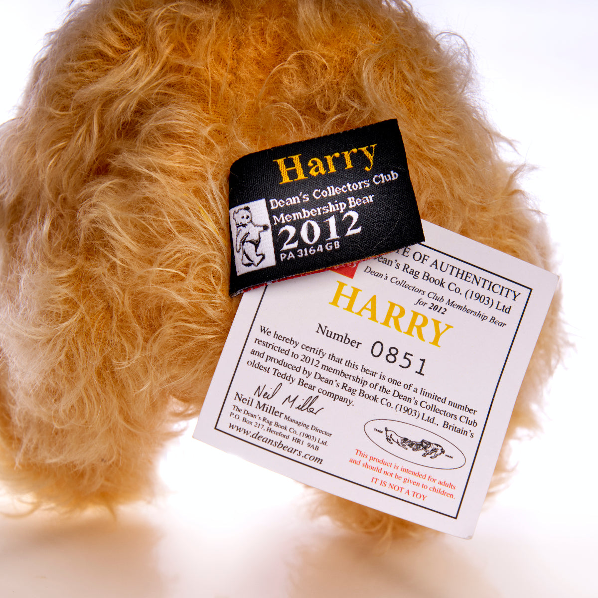 DEAN'S RAG BOOK Co. 'Harry' - 2012 Membership Limited Edition Bear