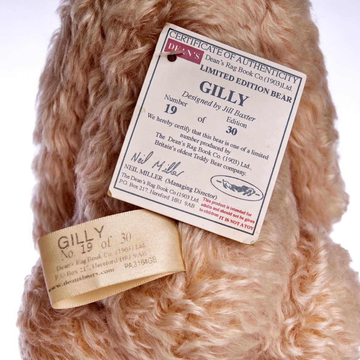 DEAN'S RAG BOOK Co. 'Gilly' - Limited Edition by designer Jill Baxter