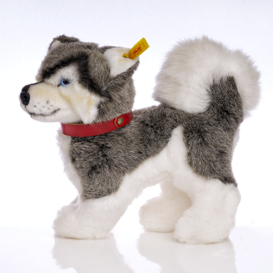 STEIFF 'Siberian Husky Dog' Yellow Tag 079658 – 28cm from the Plush Collection - Retired