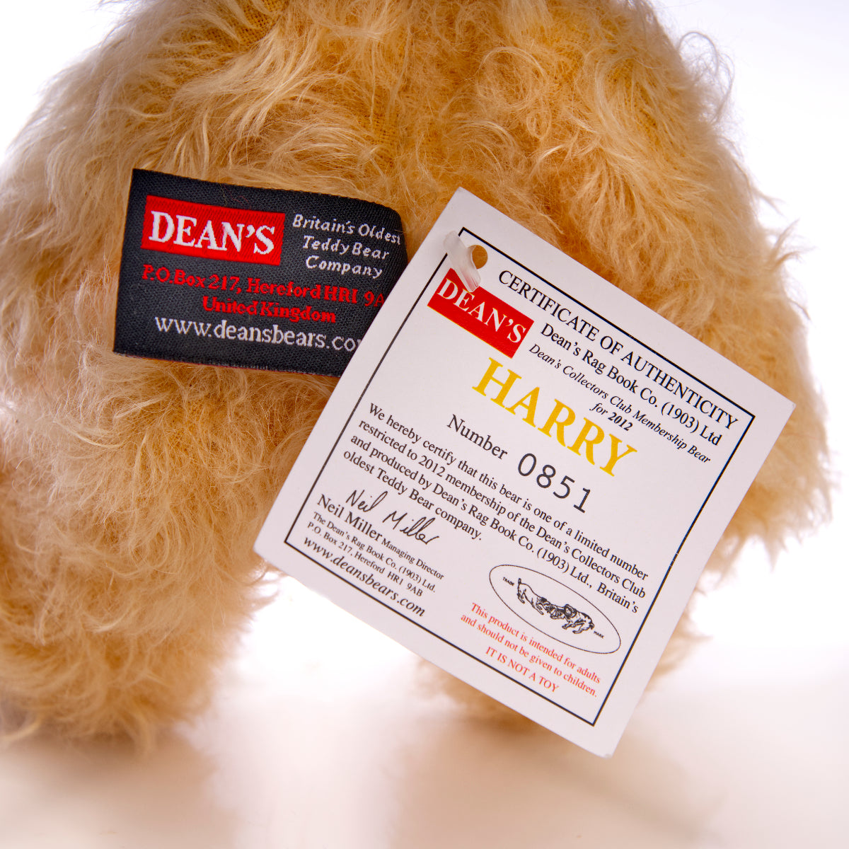 DEAN'S RAG BOOK Co. 'Harry' - 2012 Membership Limited Edition Bear