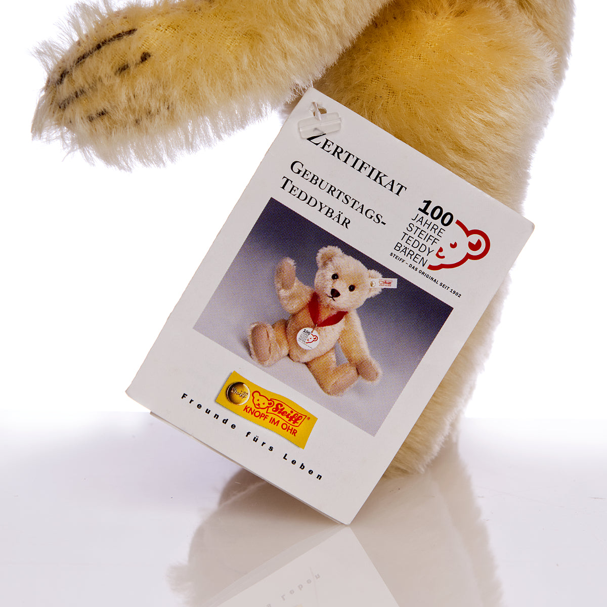 STEIFF 'Geburtstags-Teddybär' 100 Anniversary Bear - White Tag 671043 - Limited Edition