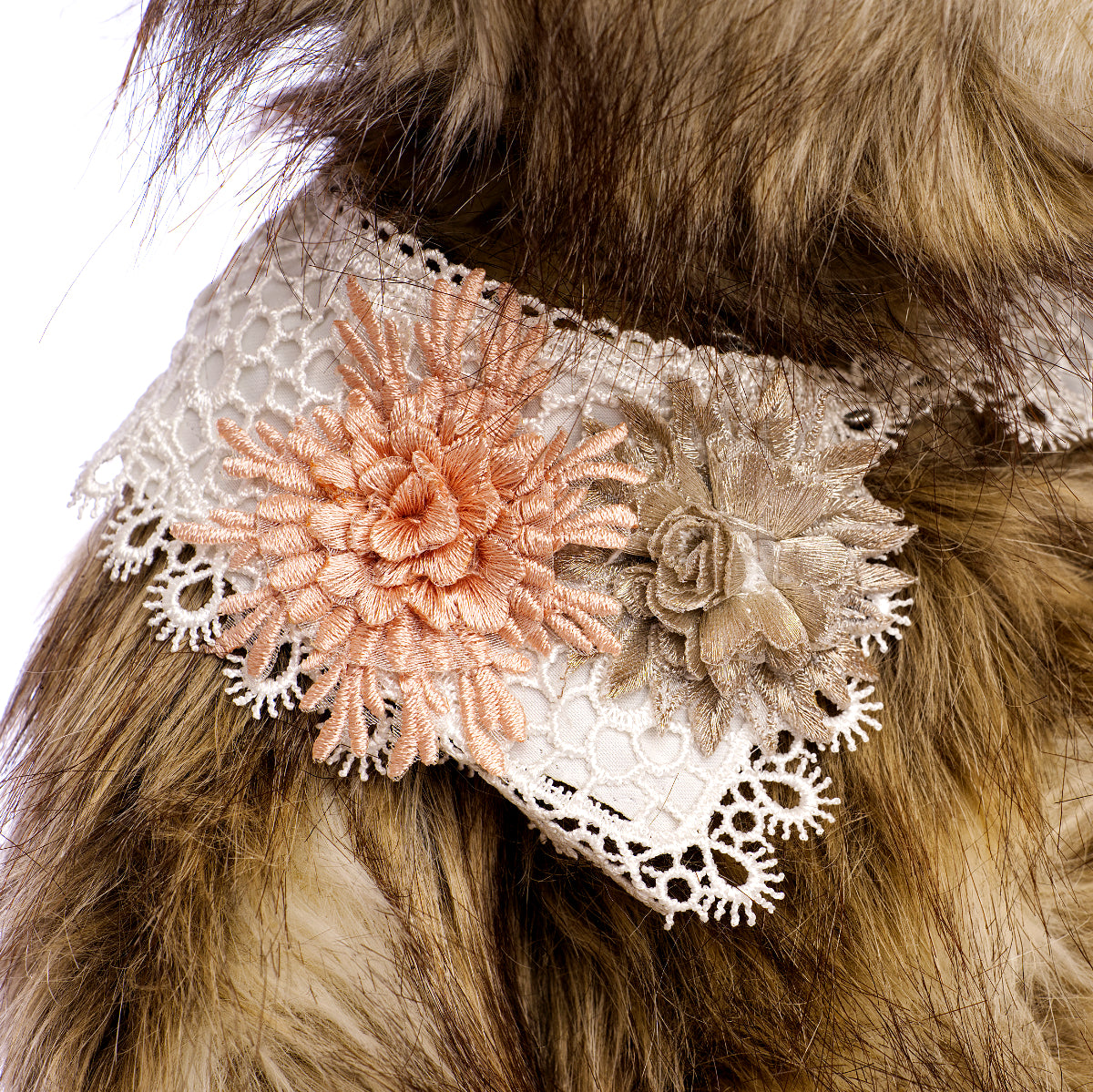 SILVER TAG BEARS 'Charlotte' - No. 17123, 2016 Limited Edition