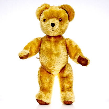 PEDIGREE 1950s vintage Teddy Bear