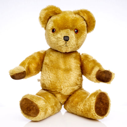 PEDIGREE 1950s vintage Teddy Bear