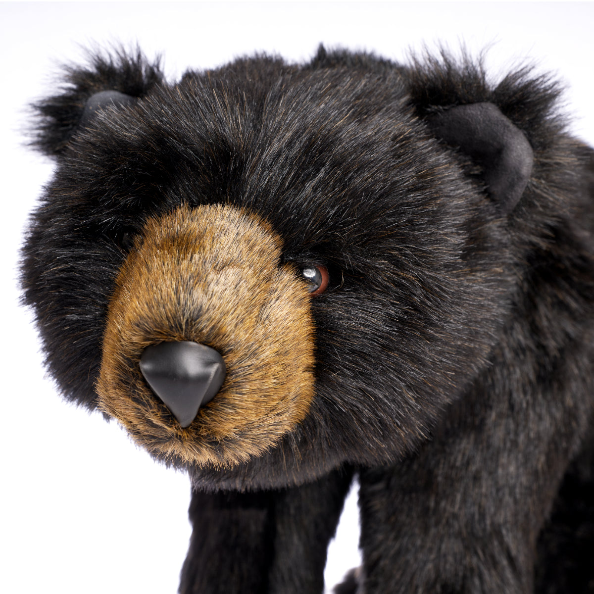 DITZ DESIGNS - 'Black Bear' from The Hen House Footrest Collection