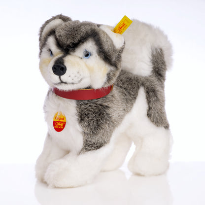 STEIFF 'Siberian Husky Dog' Yellow Tag 079658 – 28cm from the Plush Collection - Retired