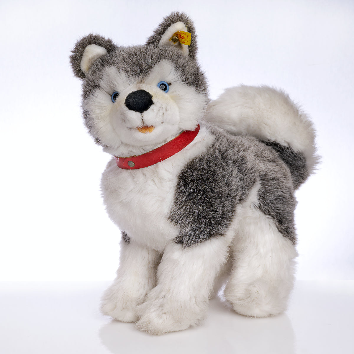 STEIFF  'Husky' Plush Dog - Yellow Tag 079634