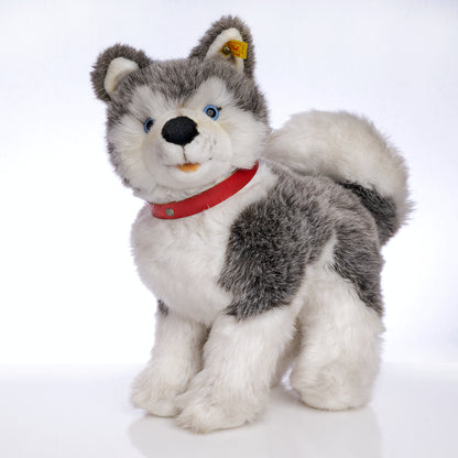STEIFF  'Husky' Plush Dog - Yellow Tag 079634