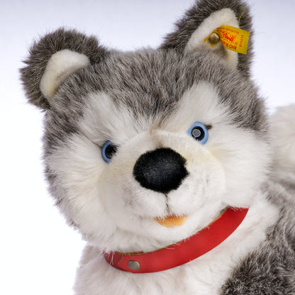 STEIFF  'Husky' Plush Dog - Yellow Tag 079634