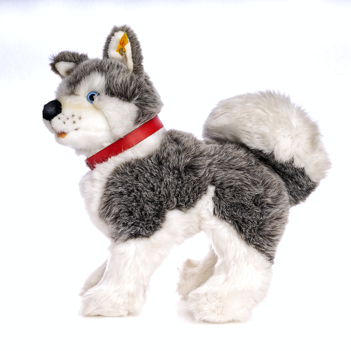 STEIFF  'Husky' Plush Dog - Yellow Tag 079634