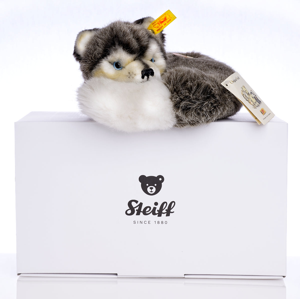 STEIFF - Laying Husky - Yellow Tag 079672, Retired Plush with Tags