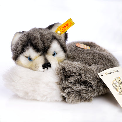STEIFF - Laying Husky - Yellow Tag 079672, Retired Plush with Tags