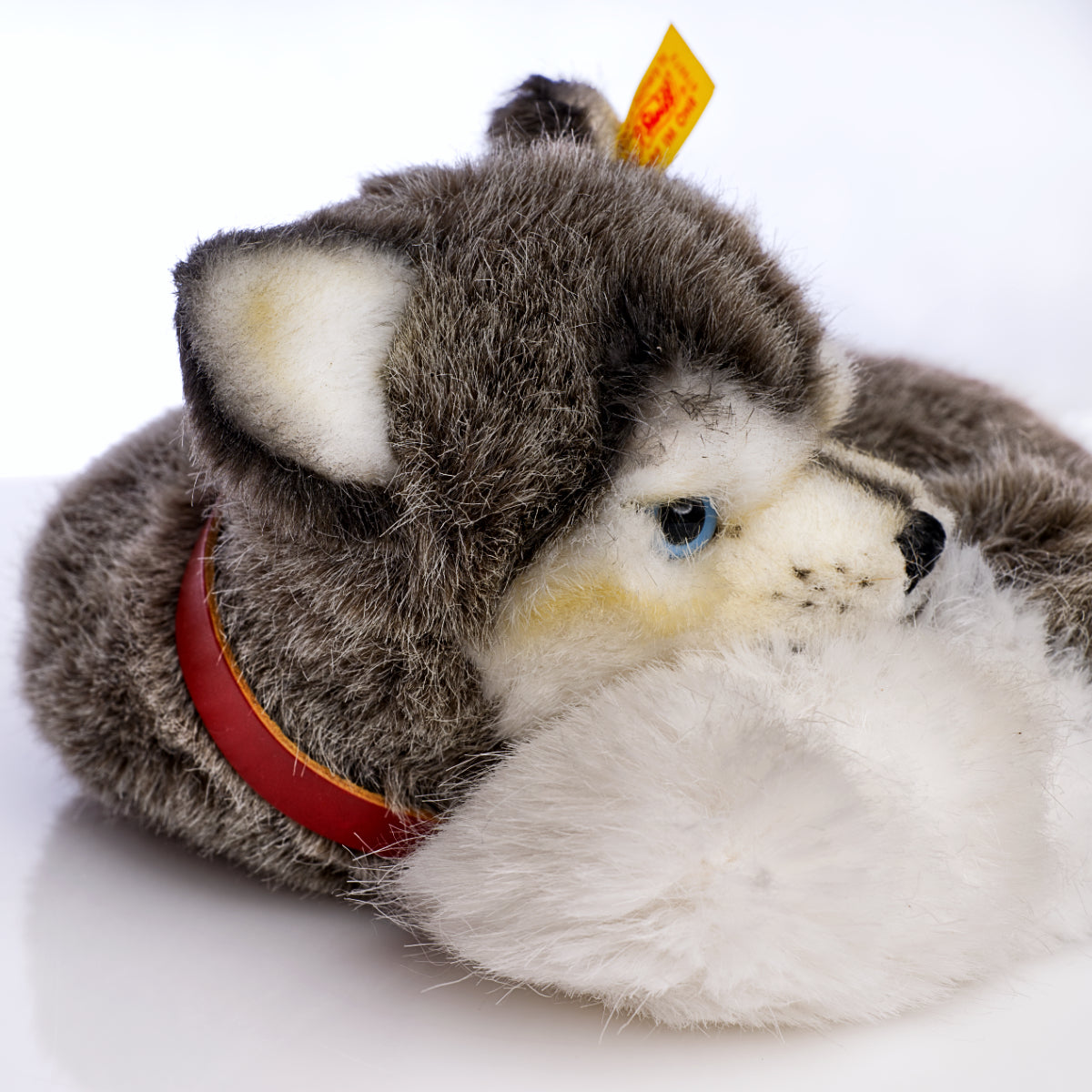 STEIFF - Laying Husky - Yellow Tag 079672, Retired Plush with Tags