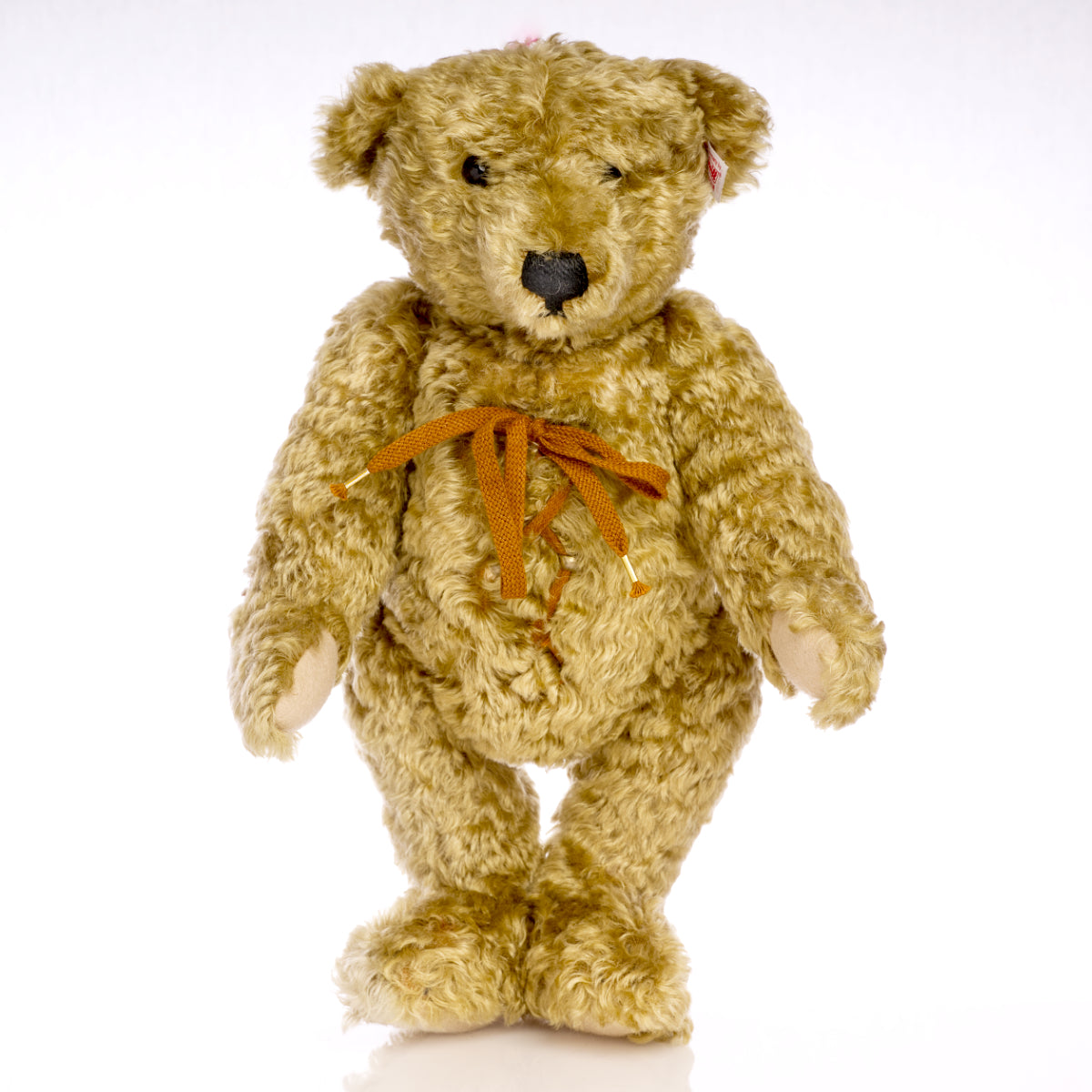 STEIFF ‘Baby Hot Water Bottle Bear’ 1907 Replica – North American Exclusive, White Tag 667299, Mohair