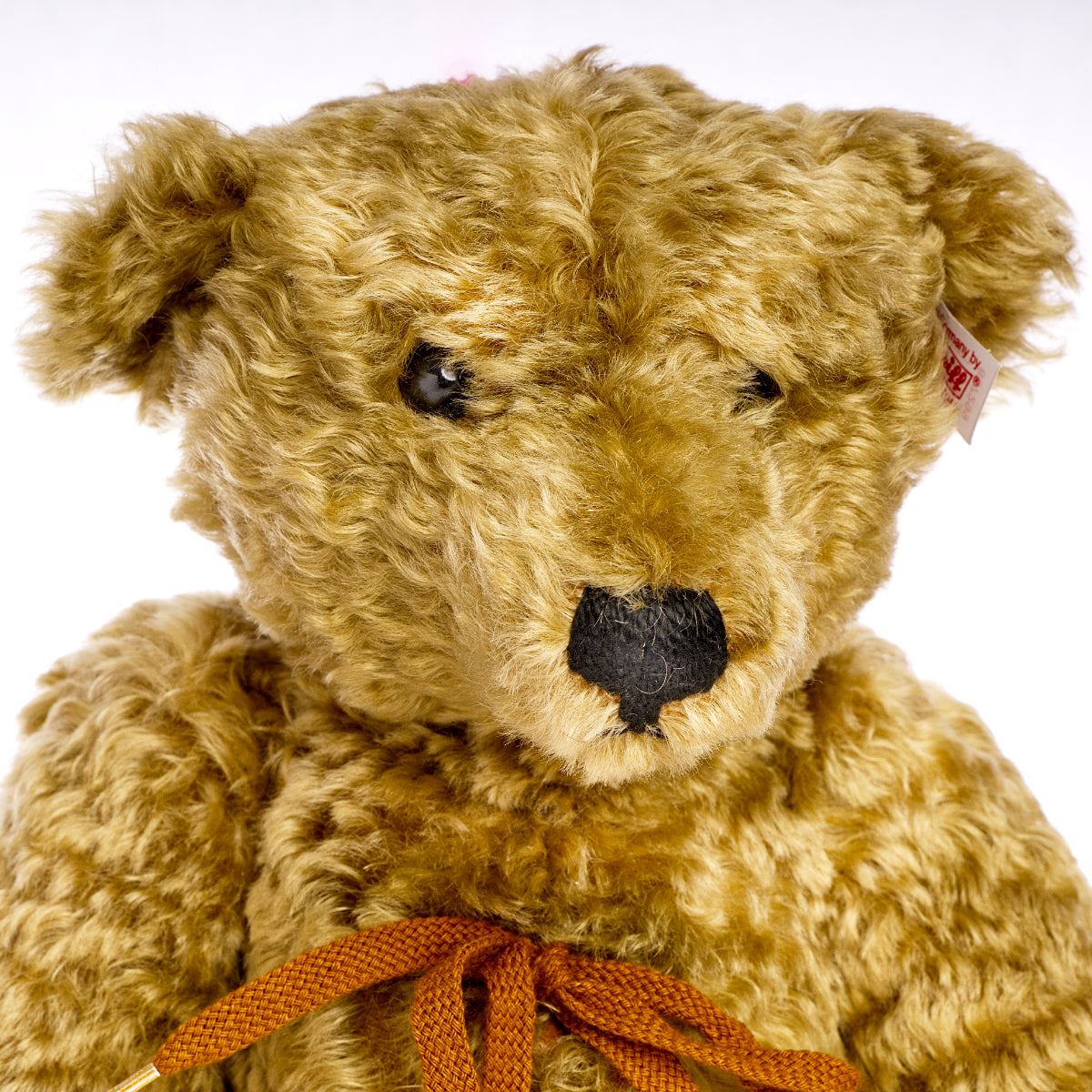 STEIFF ‘Baby Hot Water Bottle Bear’ 1907 Replica – North American Exclusive, White Tag 667299, Mohair
