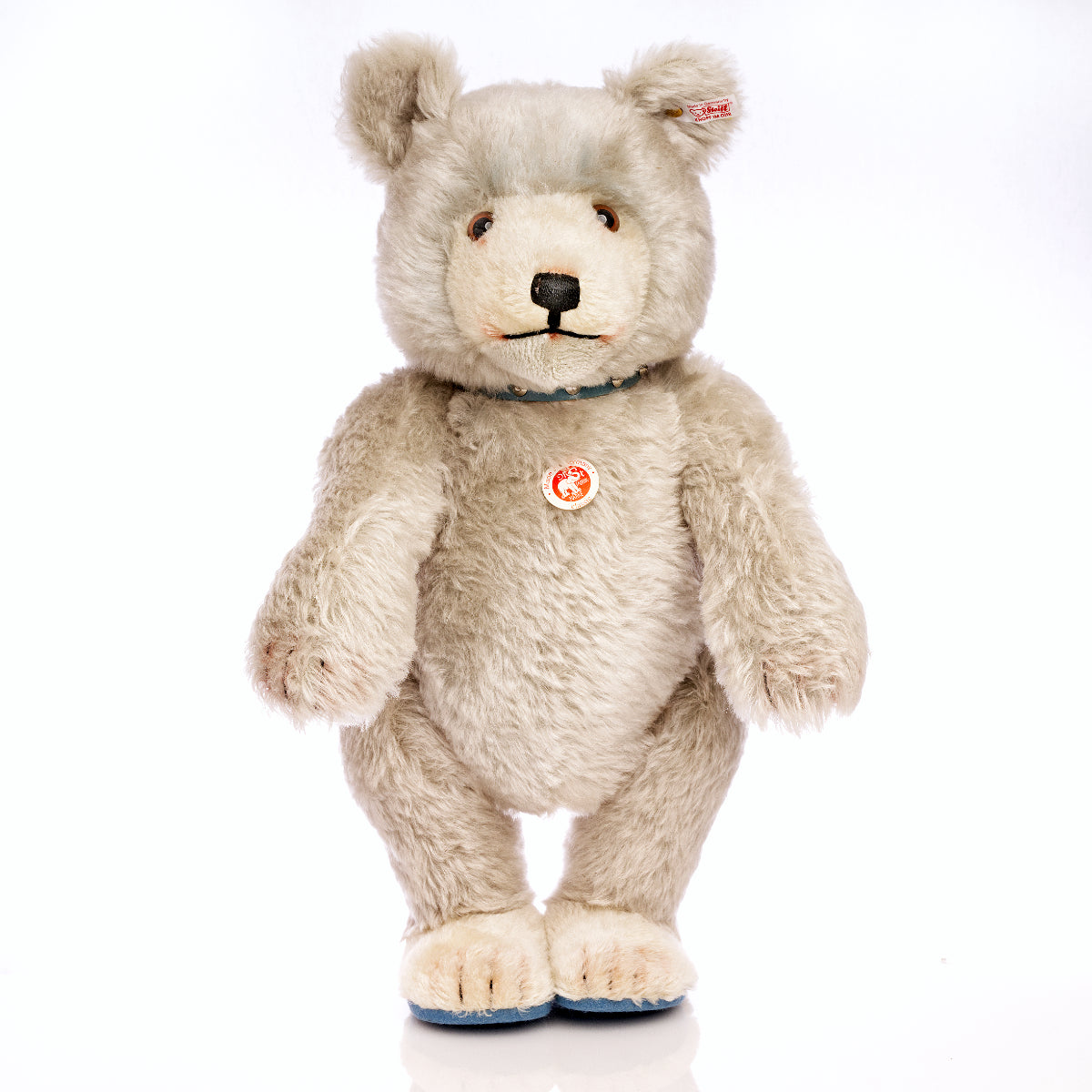 STEIFF 'Baby Blue' Bear - Little Giants Series 2007, White Tag 037085
