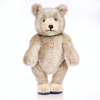 STEIFF 'Baby Blue' Bear - Little Giants Series 2007, White Tag 037085