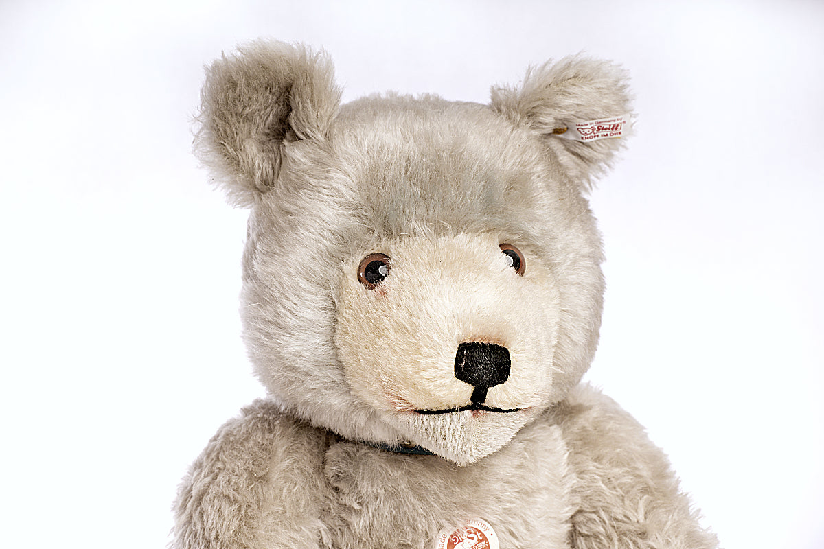 STEIFF 'Baby Blue' Bear - Little Giants Series 2007, White Tag 037085