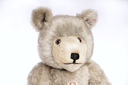 STEIFF 'Baby Blue' Bear - Little Giants Series 2007, White Tag 037085
